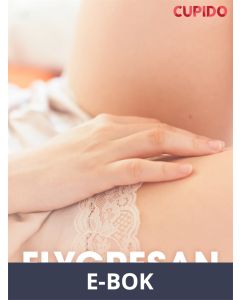 Flygresan - erotiska noveller, E-bok