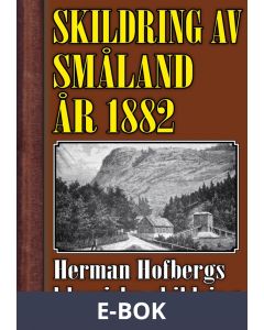 Skildring av Småland år 1882, E-bok