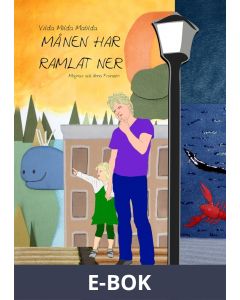 Månen har ramlat ner, E-bok