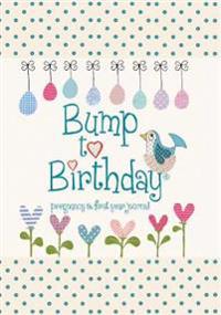 Bump to Birthday, PregnancyFirst Year Journal