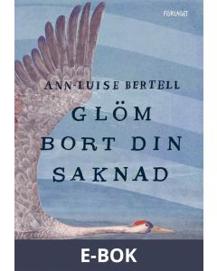 Glöm bort din saknad , E-bok