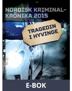Tragedin i Hyvinge, E-bok
