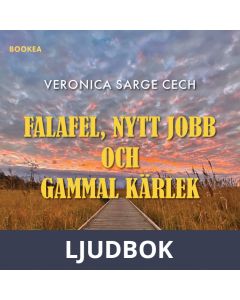 Falafel, nytt jobb och gammal kärlek, Ljudbok