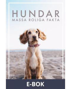 HUNDAR Massa roliga fakta (Epub2), E-bok