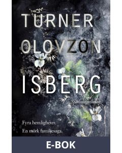Isberg, E-bok