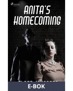 Anita's Homecoming, E-bok
