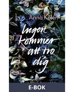 Ingen kommer att tro dig, E-bok