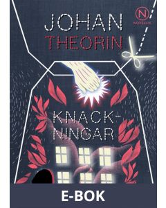 Knackningar, E-bok