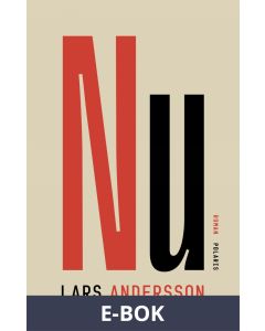 Nu, E-bok
