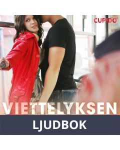 Viettelyksen vaunu, Ljudbok