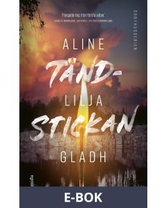 Tändstickan, E-bok