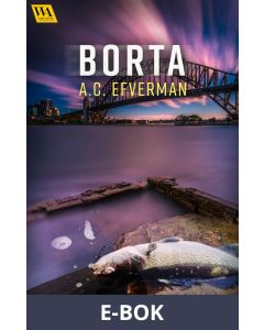 Borta, E-bok
