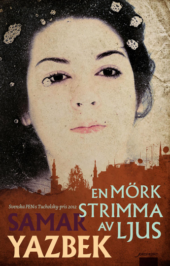 En Mörk Strimma Av Ljus