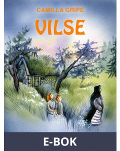 Vilse, E-bok