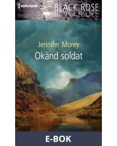 Okänd soldat, E-bok