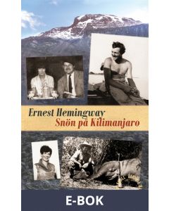 Snön på Kilimanjaro, E-bok