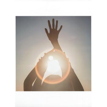 Alcest: Shelter 2014 (Book edition/Ltd)