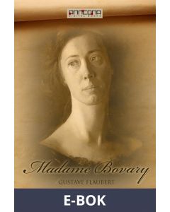 Madame Bovary, E-bok