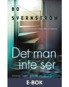 Det man inte ser, E-bok