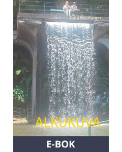 Alkukuva: Romaani, E-bok