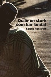 Du är en stork som har landat