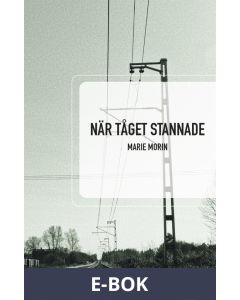 När tåget stannade, E-bok