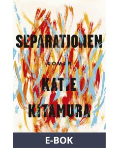 Separationen, E-bok