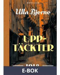 Upptäckter : Noveller, E-bok
