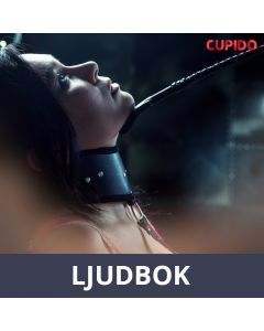 The Collar, Ljudbok