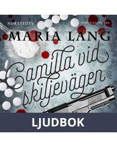 Camilla vid skiljevägen, Ljudbok