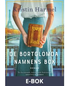 De bortglömda namnens bok, E-bok