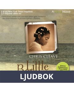 Little Bee, Ljudbok