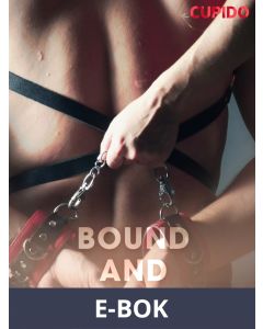 Bound and Abandoned, E-bok