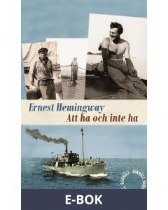 Att ha och inte ha, E-bok