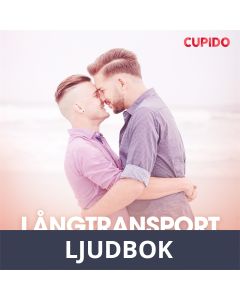 Långtransport i Europa, Ljudbok