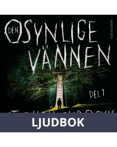 Den osynlige vännen. Del 1, Ljudbok