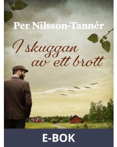 I skuggan av ett brott, E-bok