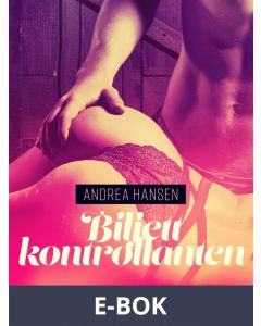 Biljettkontrollanten - erotisk novell, E-bok