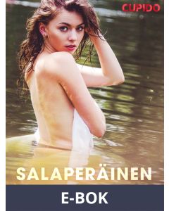 Salaperäinen hymy, E-bok