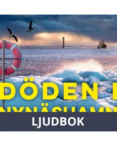 Döden i Nynäshamn, Ljudbok