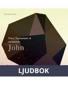 The New Testament 4 - John, Ljudbok