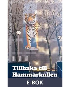 Tillbaka till Hammarkullen, E-bok