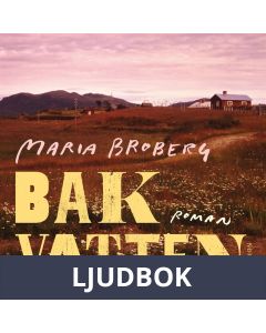 Bakvatten, Ljudbok