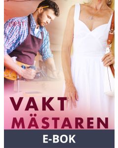 Vaktmästaren - erotisk novell, E-bok