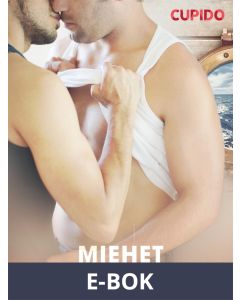 Miehet mökkireissulla, E-bok