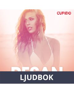 Resan - erotiska noveller, Ljudbok