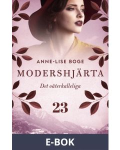 Det oåterkalleliga, E-bok