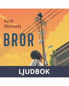 Bror, Ljudbok