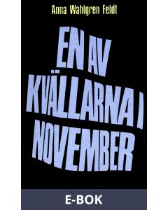 En av kvällarna i november : Noveller, E-bok