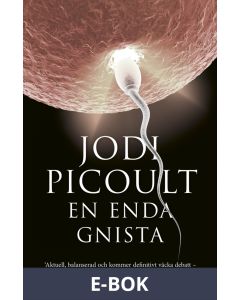 En enda gnista, E-bok